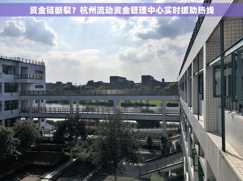 资金链断裂？杭州流动资金管理中心实时援助热线