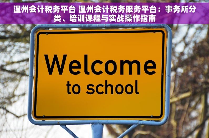 温州会计税务平台 温州会计税务服务平台：事务所分类、培训课程与实战操作指南