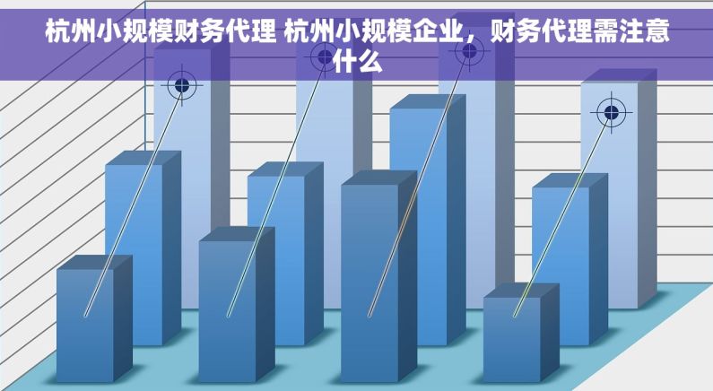 杭州小规模财务代理 杭州小规模企业，财务代理需注意什么