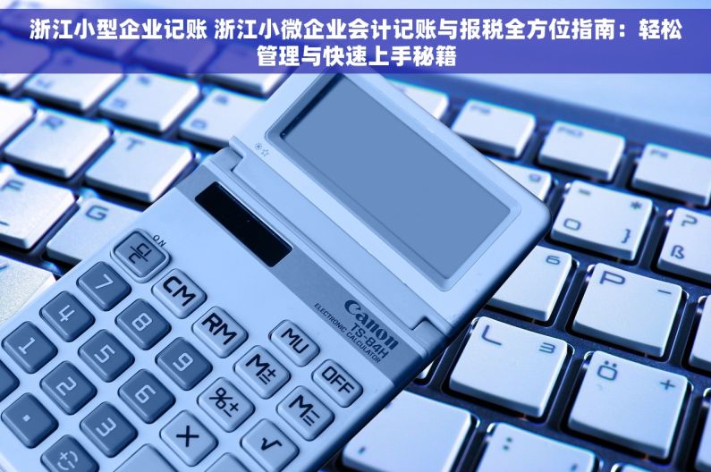 浙江小型企业记账 浙江小微企业会计记账与报税全方位指南：轻松管理与快速上手秘籍