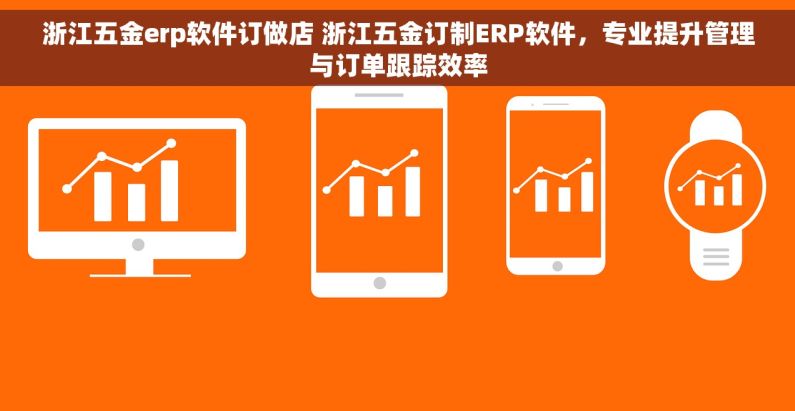 浙江五金erp软件订做店 浙江五金订制ERP软件，专业提升管理与订单跟踪效率