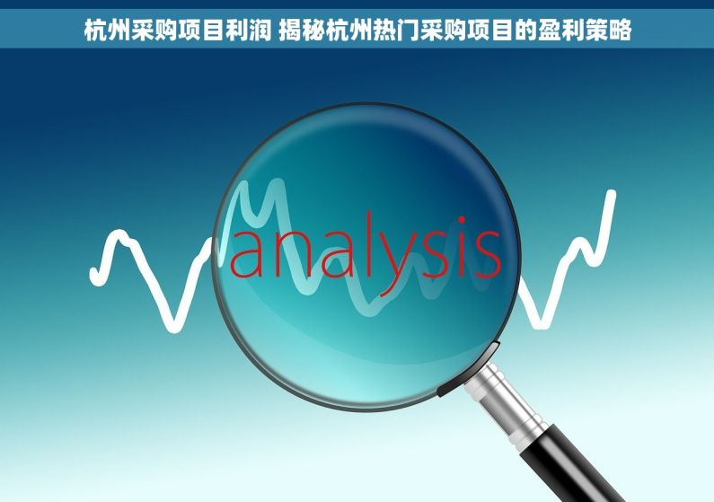 杭州采购项目利润 揭秘杭州热门采购项目的盈利策略