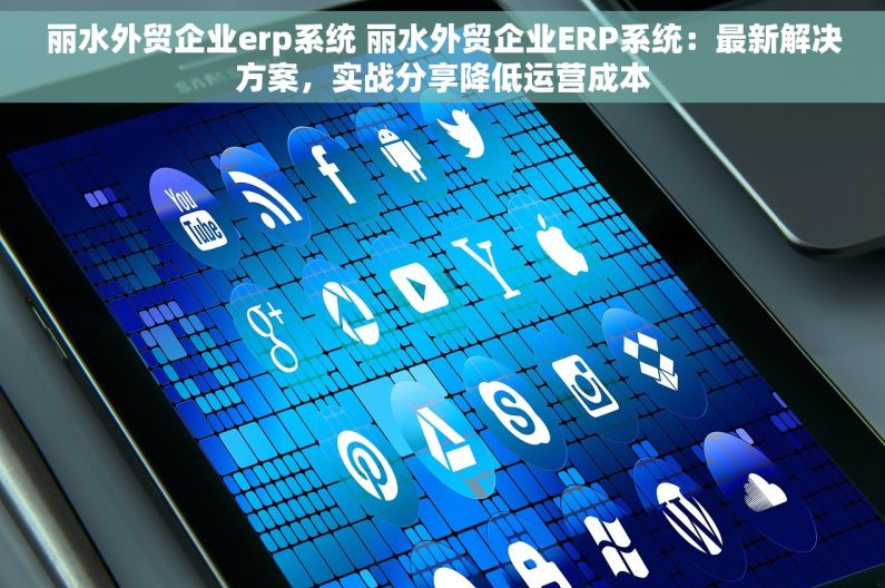 丽水外贸企业erp系统 丽水外贸企业ERP系统：最新解决方案，实战分享降低运营成本