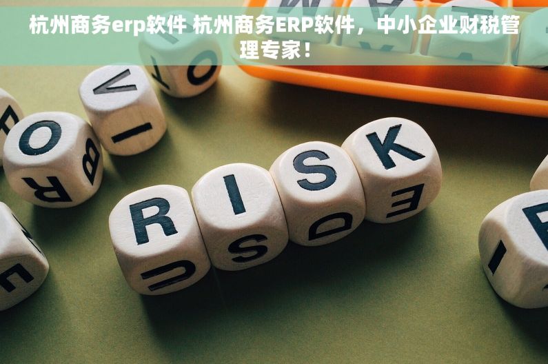 杭州商务erp软件 杭州商务ERP软件，中小企业财税管理专家！
