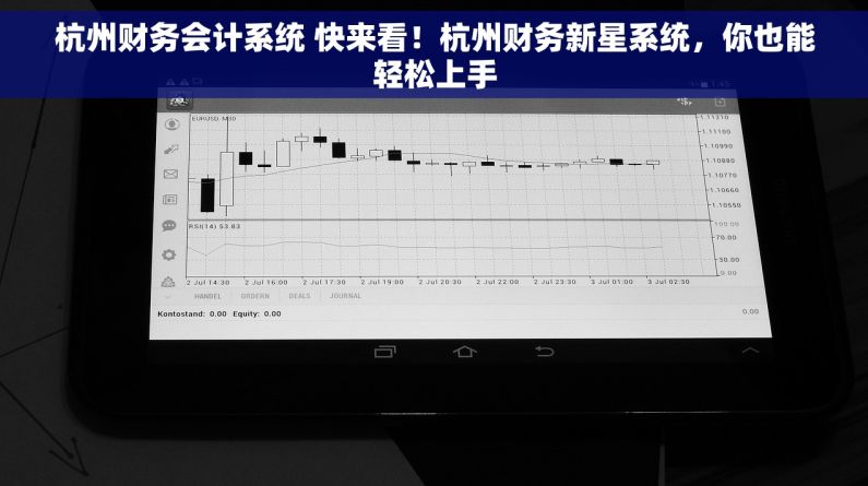 杭州财务会计系统 快来看！杭州财务新星系统，你也能轻松上手