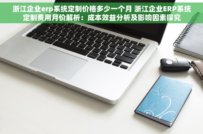 浙江企业erp系统定制价格多少一个月 浙江企业ERP系统定制费用月价解析：成本效益分析及影响因素探究