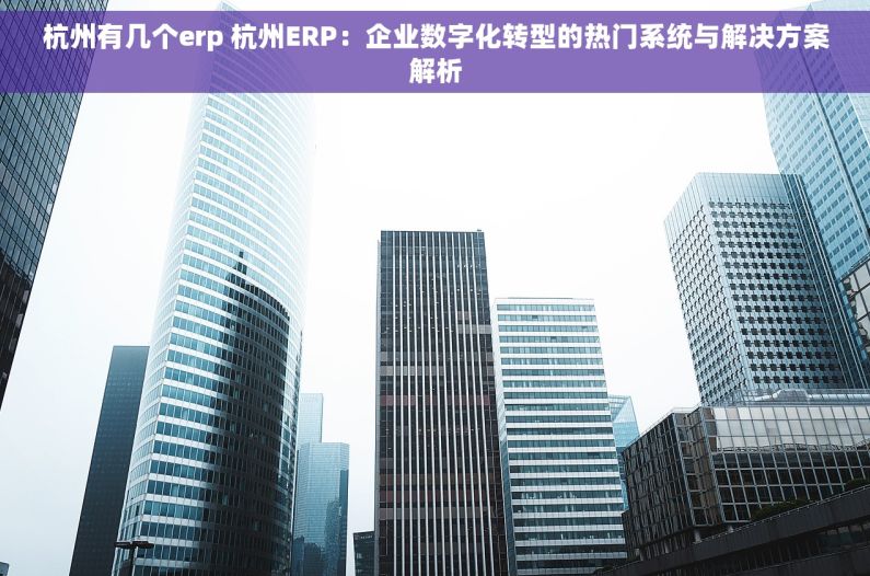 杭州有几个erp 杭州ERP：企业数字化转型的热门系统与解决方案解析