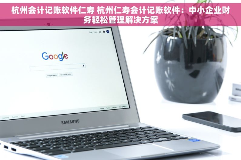 杭州会计记账软件仁寿 杭州仁寿会计记账软件：中小企业财务轻松管理解决方案