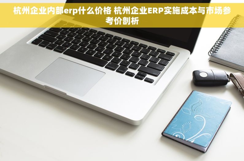 杭州企业内部erp什么价格 杭州企业ERP实施成本与市场参考价剖析