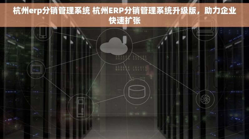 杭州erp分销管理系统 杭州ERP分销管理系统升级版，助力企业快速扩张
