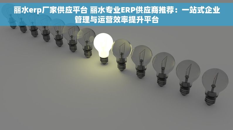 丽水erp厂家供应平台 丽水专业ERP供应商推荐：一站式企业管理与运营效率提升平台