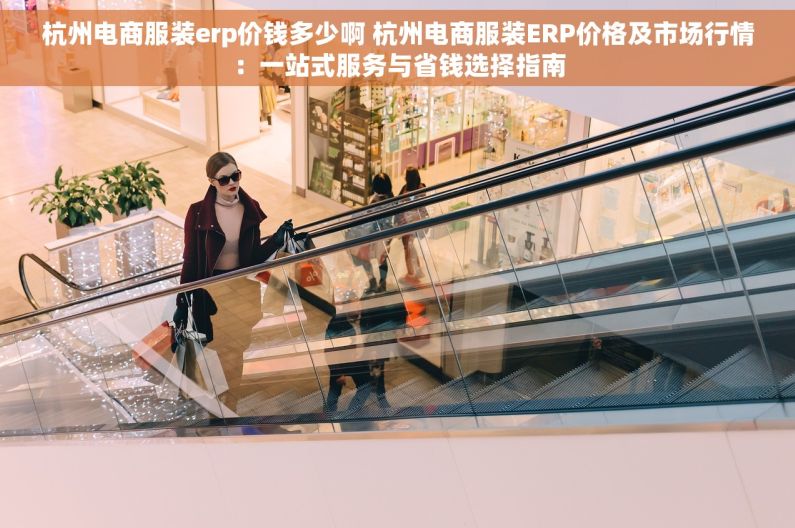 杭州电商服装erp价钱多少啊 杭州电商服装ERP价格及市场行情：一站式服务与省钱选择指南