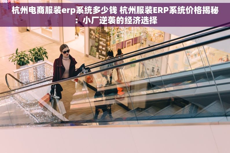 杭州电商服装erp系统多少钱 杭州服装ERP系统价格揭秘：小厂逆袭的经济选择