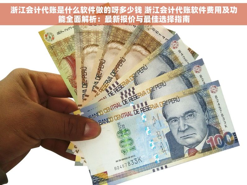 浙江会计代账是什么软件做的呀多少钱 浙江会计代账软件费用及功能全面解析：最新报价与最佳选择指南