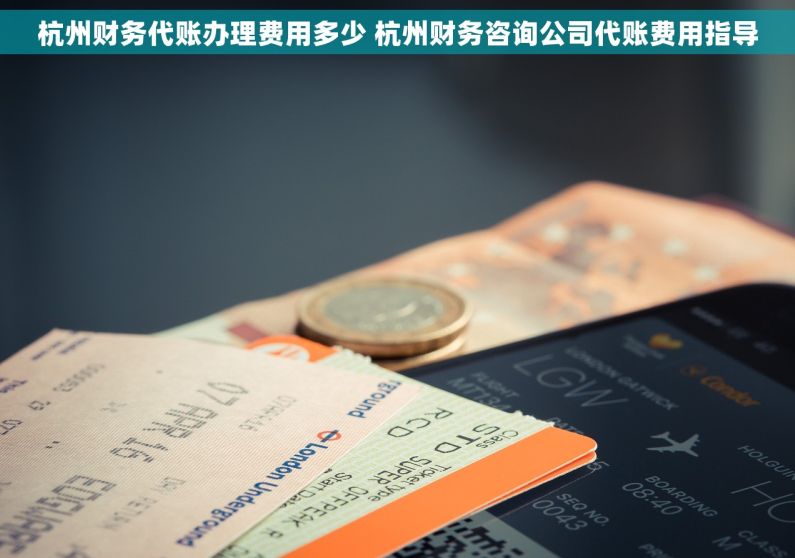 杭州财务代账办理费用多少 杭州财务咨询公司代账费用指导