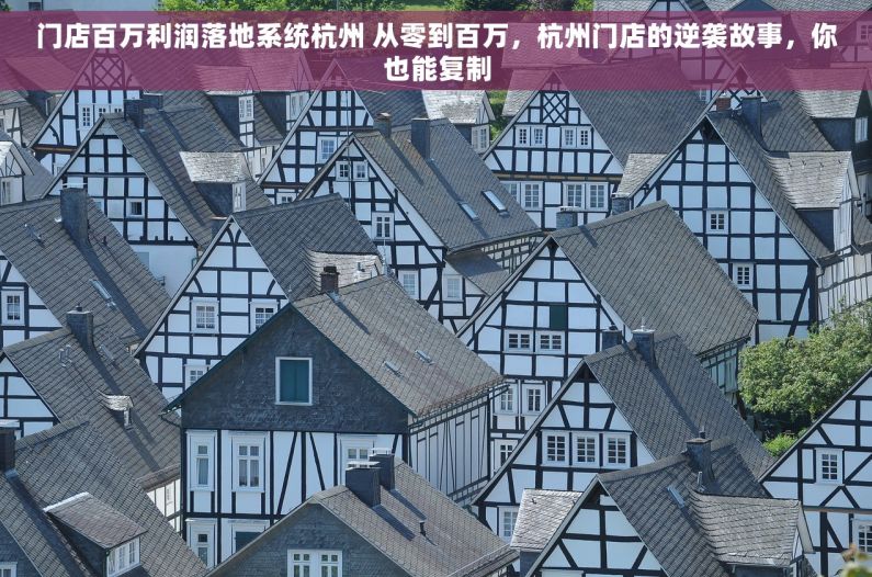 门店百万利润落地系统杭州 从零到百万，杭州门店的逆袭故事，你也能复制