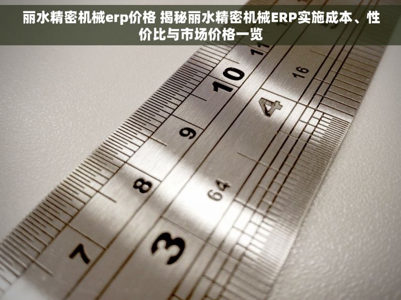 丽水精密机械erp价格 揭秘丽水精密机械ERP实施成本、性价比与市场价格一览