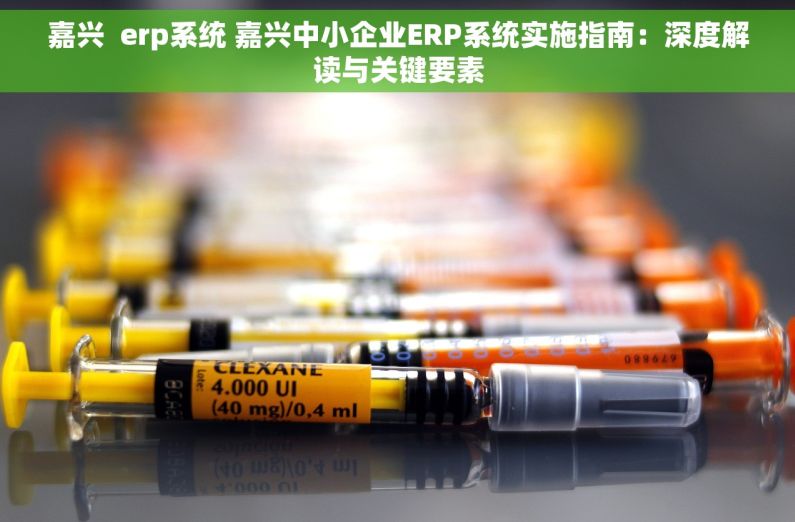 嘉兴  erp系统 嘉兴中小企业ERP系统实施指南：深度解读与关键要素