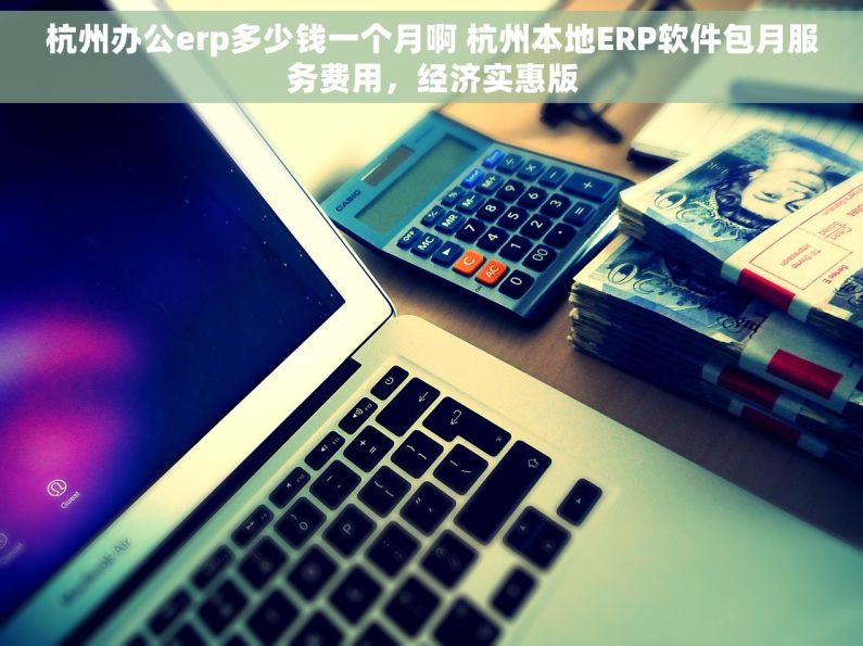 杭州办公erp多少钱一个月啊 杭州本地ERP软件包月服务费用，经济实惠版