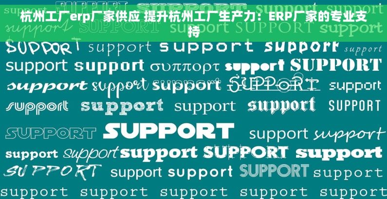 杭州工厂erp厂家供应 提升杭州工厂生产力：ERP厂家的专业支持