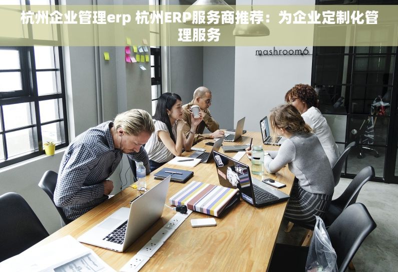 杭州企业管理erp 杭州ERP服务商推荐：为企业定制化管理服务