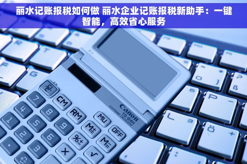 丽水记账报税如何做 丽水企业记账报税新助手：一键智能，高效省心服务