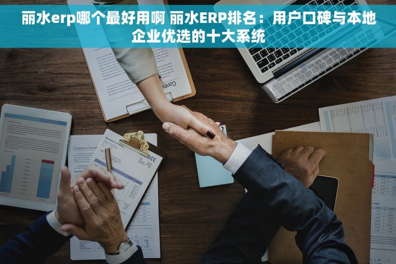 丽水erp哪个最好用啊 丽水ERP排名：用户口碑与本地企业优选的十大系统