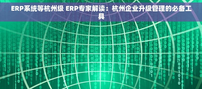 ERP系统等杭州级 ERP专家解读：杭州企业升级管理的必备工具