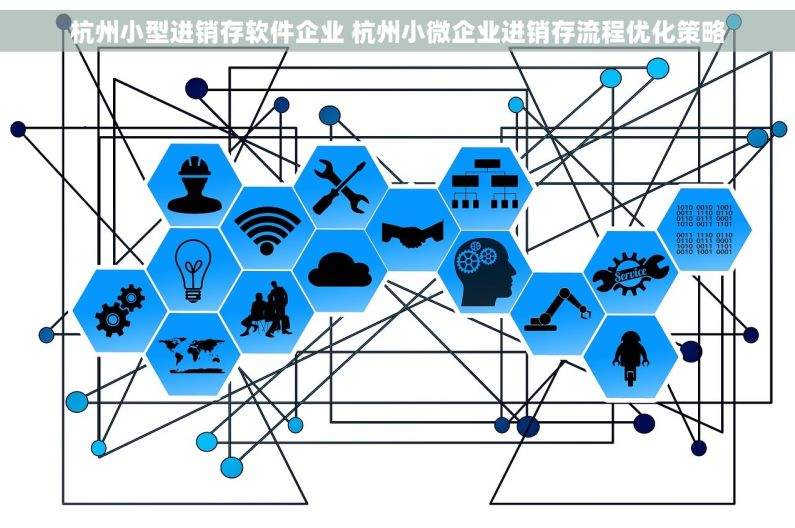杭州小型进销存软件企业 杭州小微企业进销存流程优化策略