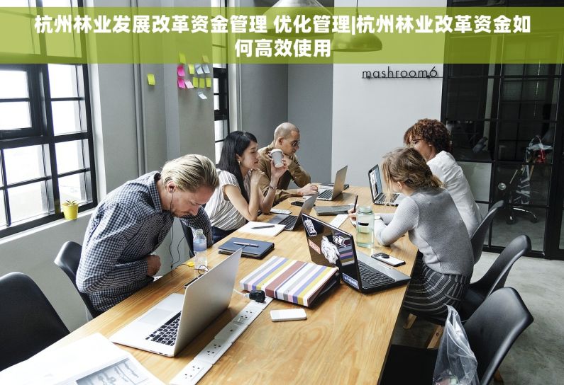 杭州林业发展改革资金管理 优化管理|杭州林业改革资金如何高效使用