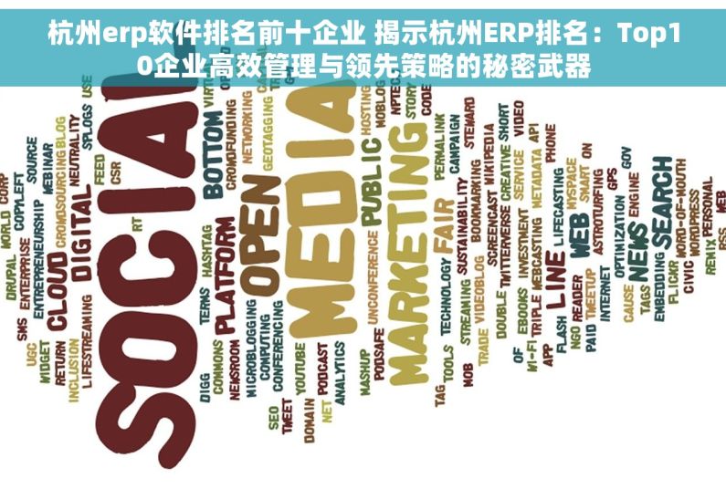 杭州erp软件排名前十企业 揭示杭州ERP排名：Top10企业高效管理与领先策略的秘密武器