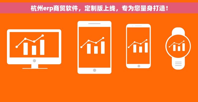 杭州erp商贸软件，定制版上线，专为您量身打造！