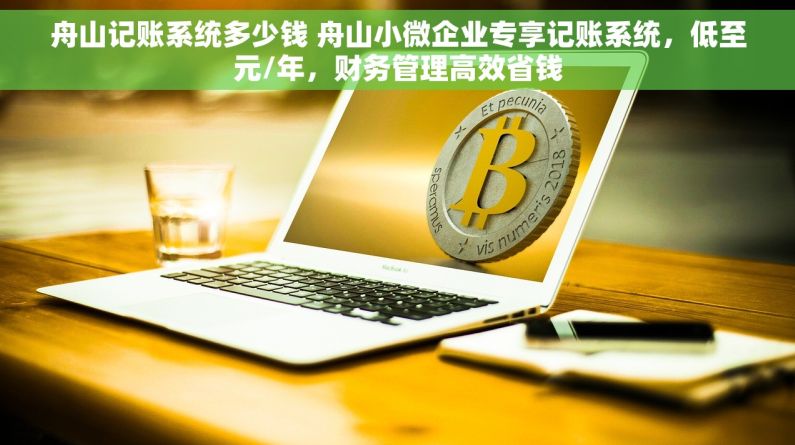 舟山记账系统多少钱 舟山小微企业专享记账系统，低至元/年，财务管理高效省钱