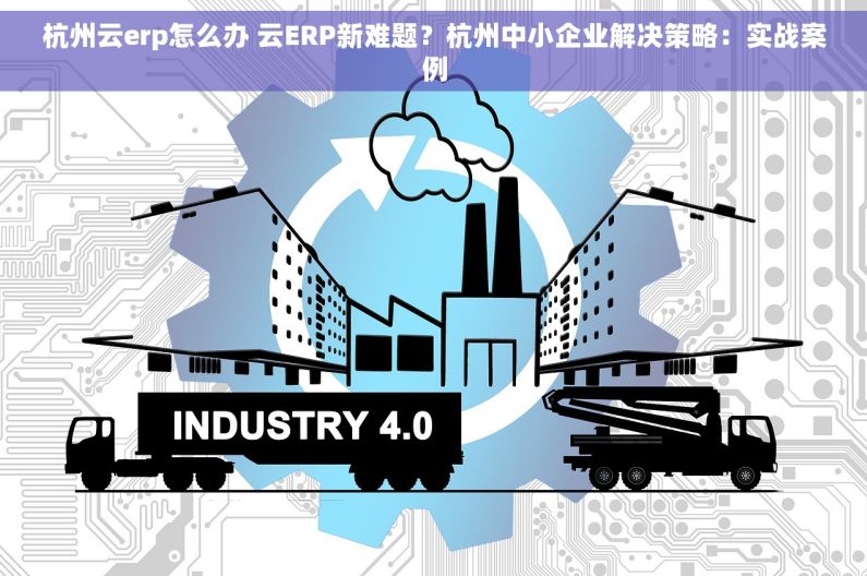 杭州云erp怎么办 云ERP新难题？杭州中小企业解决策略：实战案例