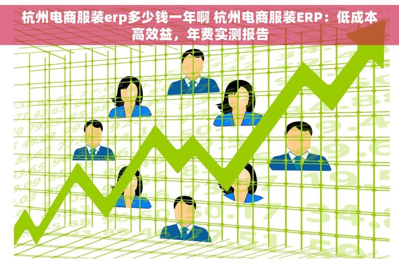 杭州电商服装erp多少钱一年啊 杭州电商服装ERP：低成本高效益，年费实测报告