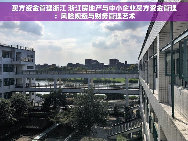 买方资金管理浙江 浙江房地产与中小企业买方资金管理：风险规避与财务管理艺术