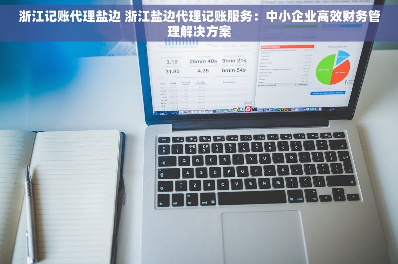 浙江记账代理盐边 浙江盐边代理记账服务：中小企业高效财务管理解决方案