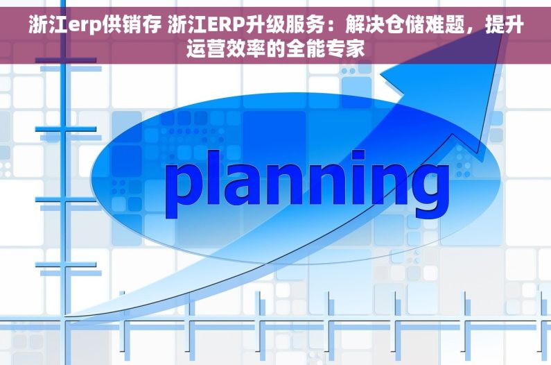 浙江erp供销存 浙江ERP升级服务：解决仓储难题，提升运营效率的全能专家