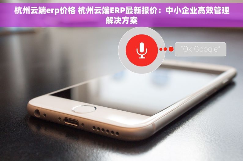 杭州云端erp价格 杭州云端ERP最新报价：中小企业高效管理解决方案