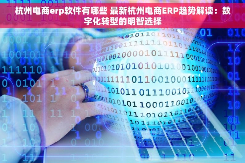 杭州电商erp软件有哪些 最新杭州电商ERP趋势解读：数字化转型的明智选择