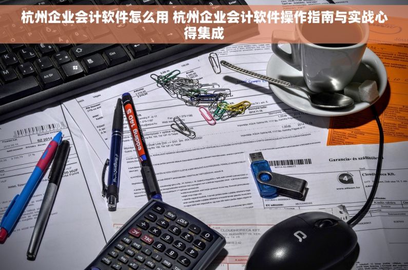 杭州企业会计软件怎么用 杭州企业会计软件操作指南与实战心得集成