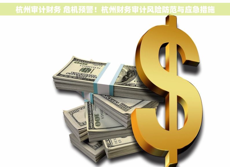 杭州审计财务 危机预警！杭州财务审计风险防范与应急措施