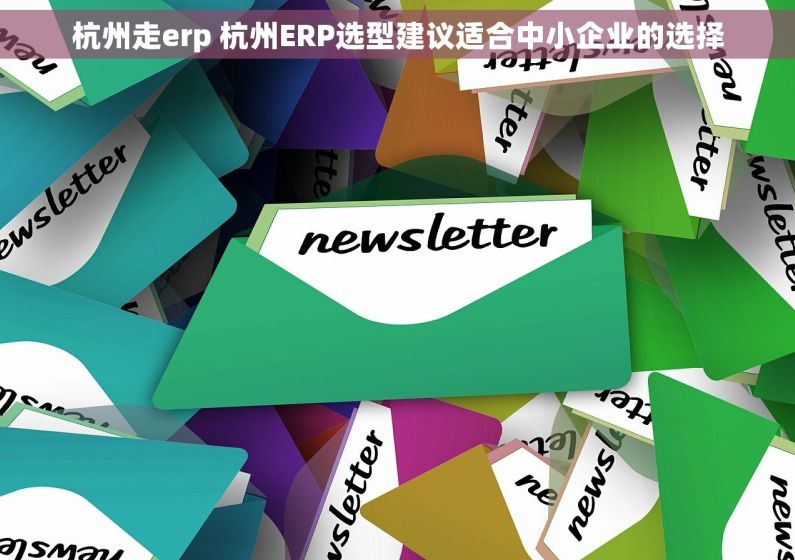杭州走erp 杭州ERP选型建议适合中小企业的选择