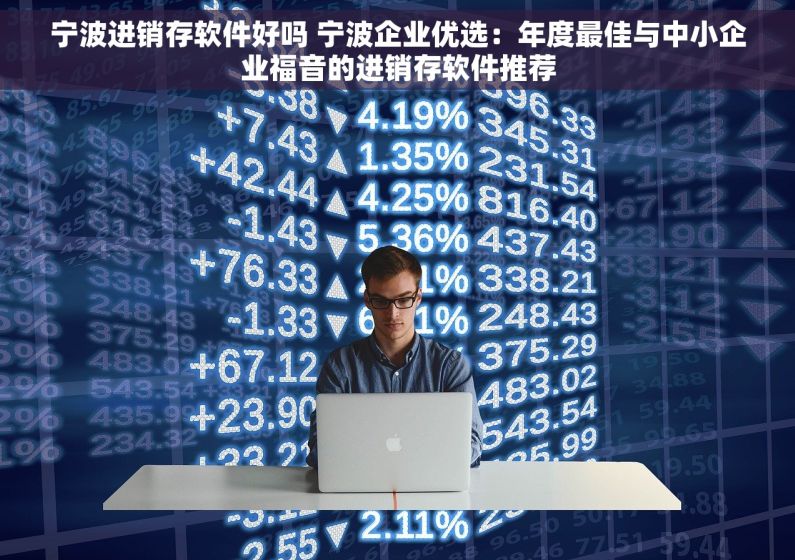 宁波进销存软件好吗 宁波企业优选：年度最佳与中小企业福音的进销存软件推荐