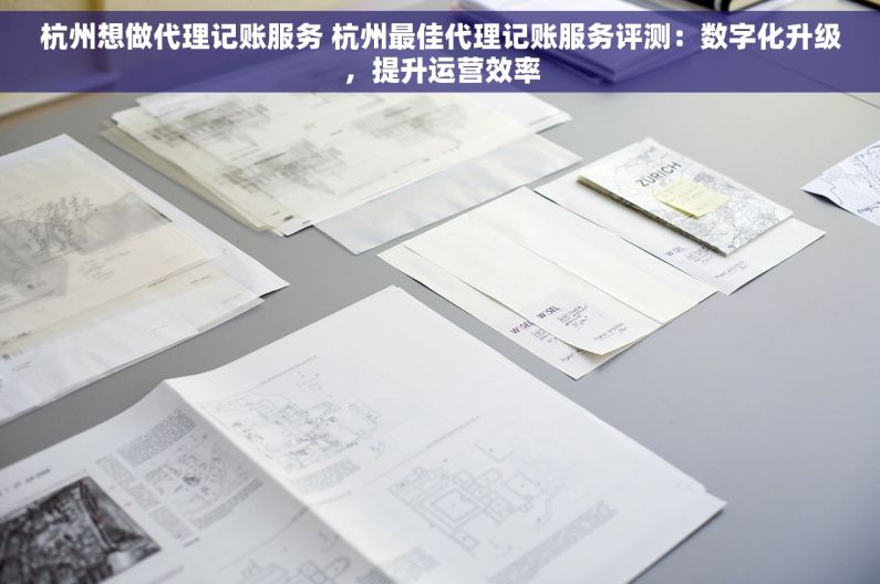 杭州想做代理记账服务 杭州最佳代理记账服务评测：数字化升级，提升运营效率