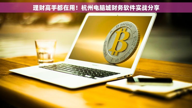 理财高手都在用！杭州电脑城财务软件实战分享