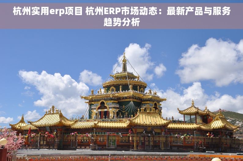 杭州实用erp项目 杭州ERP市场动态：最新产品与服务趋势分析