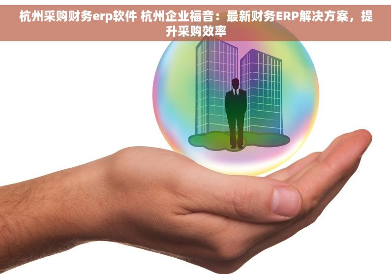 杭州采购财务erp软件 杭州企业福音：最新财务ERP解决方案，提升采购效率