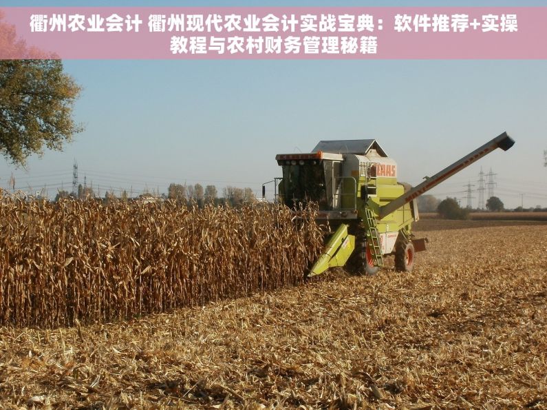 衢州农业会计 衢州现代农业会计实战宝典：软件推荐+实操教程与农村财务管理秘籍