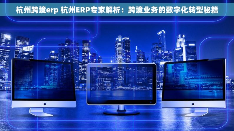 杭州跨境erp 杭州ERP专家解析：跨境业务的数字化转型秘籍
